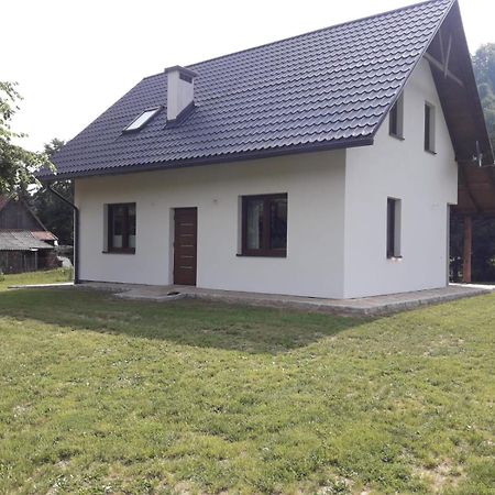 Apartament Pod Lipka Lutowiska Buitenkant foto