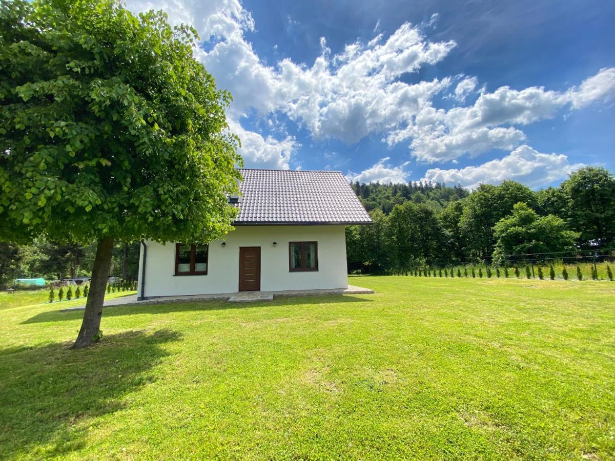 Apartament Pod Lipka Lutowiska Buitenkant foto